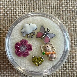 Origami Owl Cute Assorted charm Set